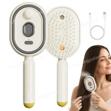 2026 New Electric Steam Brush, Electric Steam Brushs for Hair, Rechargeable