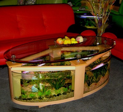 oval fish tank