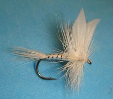 FLY FISHING FLIES - Traditional WHITE MILLER (WULFF) size #10 (6 pcs.)