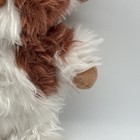 Bild 7 von 13