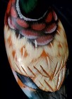 Mallard Hand Carved Hand Painted Wood Duck Decoy 10" Beautiful And Colorful  — photo 7