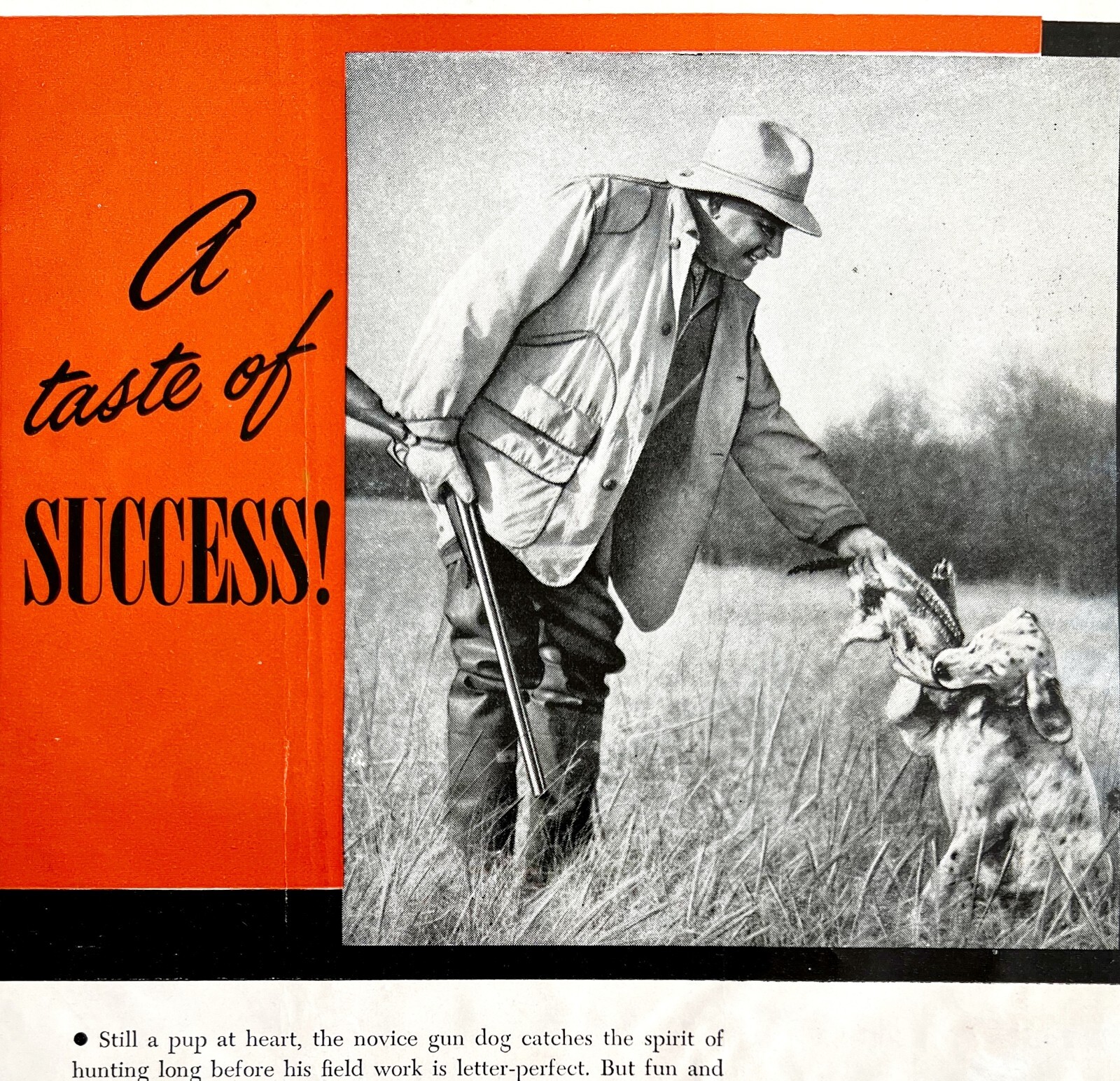 1948 Advertisement Sporting Hunting  Vintage Dwee16
