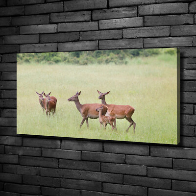 Leinwandbild Kunst-Druck 100x50 Bilder Tiere Reh Kitz