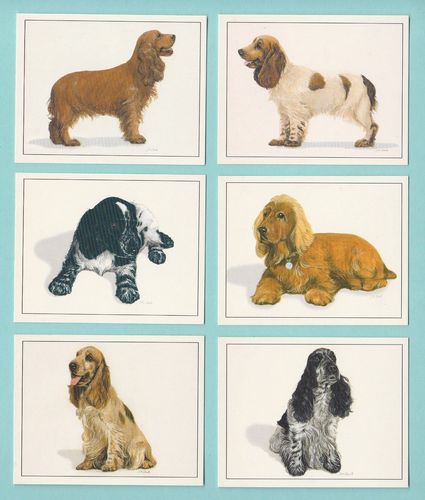 DOGS - COCKER SPANIELS - SET OF L6 CARDS - IMP. PUBLISHING LTD. - 1999 - Picture 1 of 2
