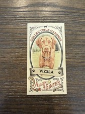 2019 Topps Allen & Ginter #CC-3 Vizsla Collectible Canines Minis