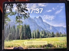 iPad Pro,12.9-inch, 5th Gen,WiFi + Cell,512gb