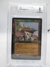 High Market - Foil Magic mtg Mercadian Masques BGS Graded 8