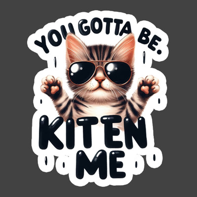 Cat Sticker Vinyl Decal You Gotta Be Kitten Me Cute Kitty Sunglasses