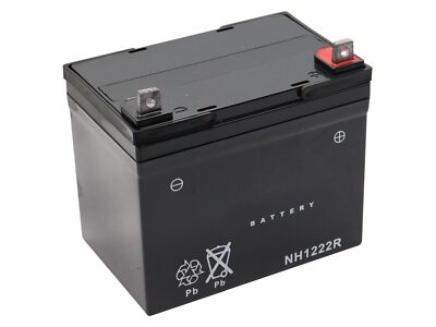 Batterie 12V 22Ah (+ Pol Rechts) passend für Yard King 10/30 Rasentraktor