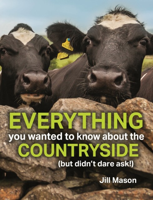 Everything you Wanted to Know about the Countryside: by Jill Mason HARDBACK