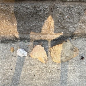 Limestone ,fine grain sandstone, arkosic sandstone.