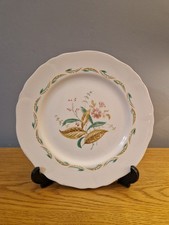 Alfred Meakin Plate. VGC. Rare Design.