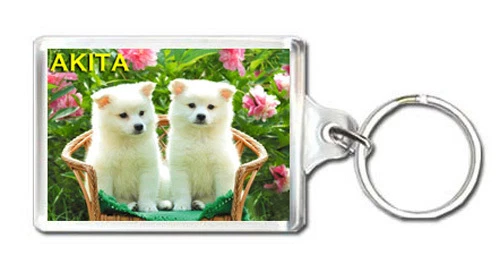AKITA DOG KEYRING LLAVERO