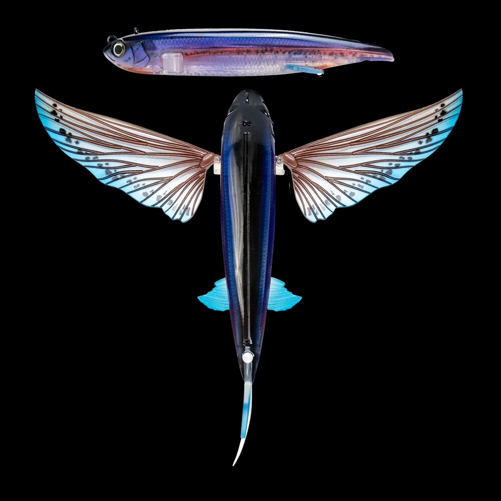 best west coast florida trout lures Baits Roma x BigBassDreams Dark Trout Collaboration – Big Bass Dreams Classic 2-Tray - Frost Daiwa Black Label Color:Breadwinner
