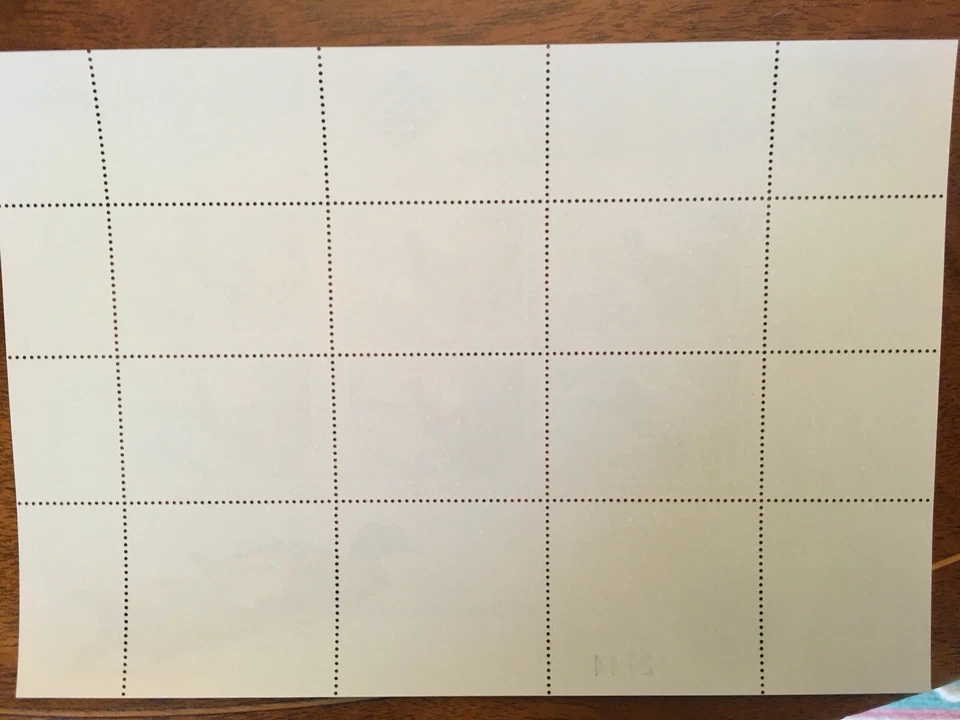 NZD1X 1994 New Zealand 1, Gov. Genl's Edition, Souv Sheet, Paradise Shelduck  - Image 2 of 2