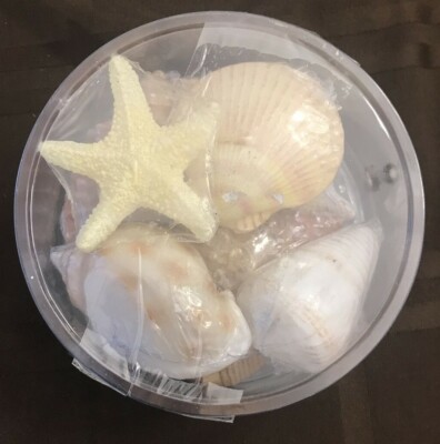 Novelity Shell Novelty Candles Sea Shells - 8 Pack Candles NEW $14.99 | eBay