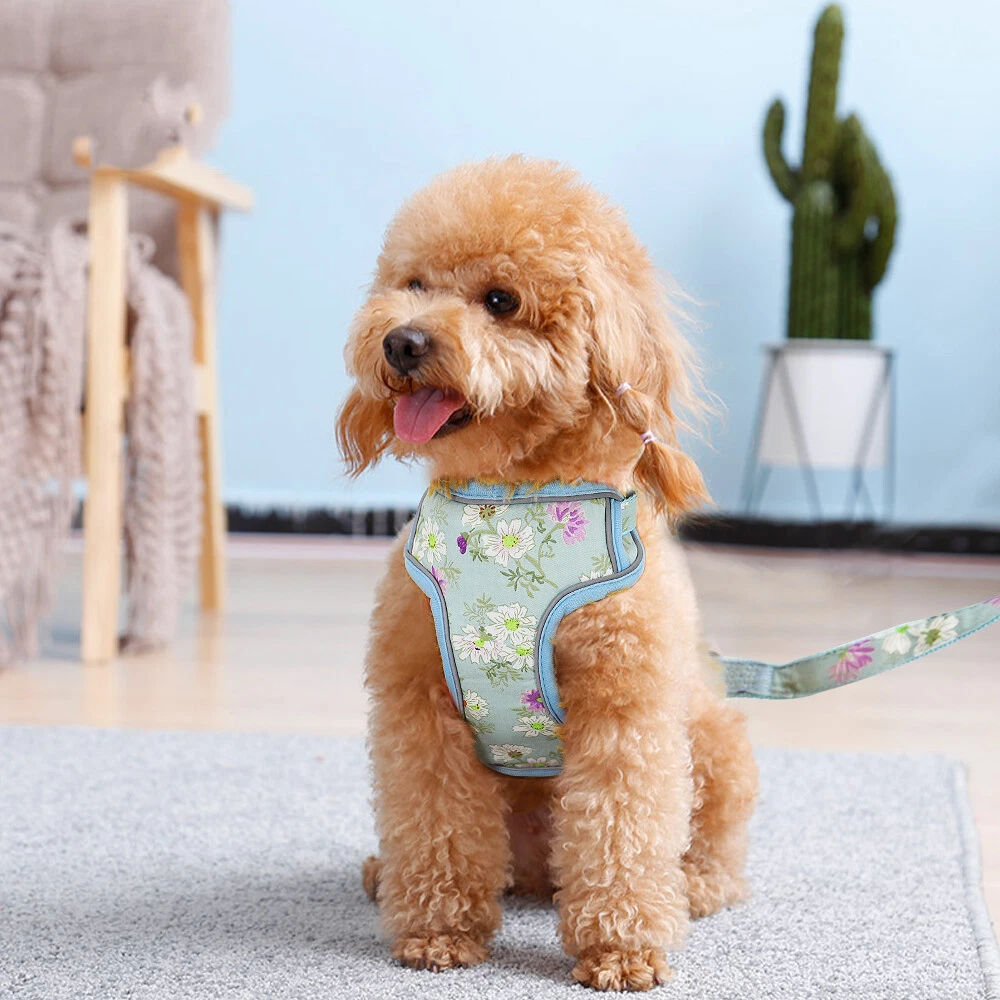Dog Harness&Leash&Treat Bag Mesh Reflective Pet Puppy Cat Walking Harness Vest