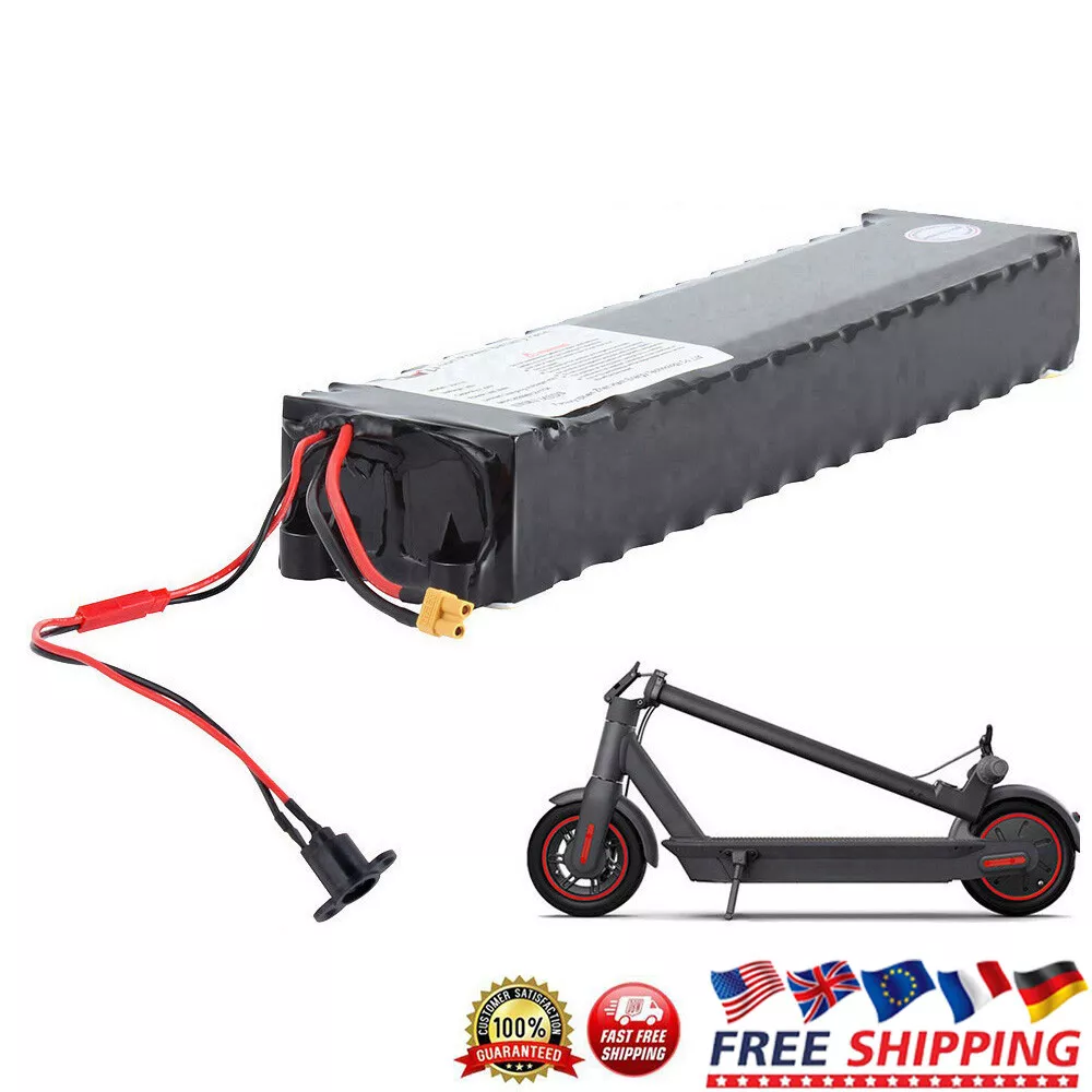 Electric Scooter Batteries 