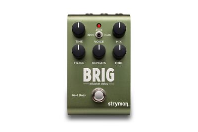 STRYMON BRIG dBucket delay