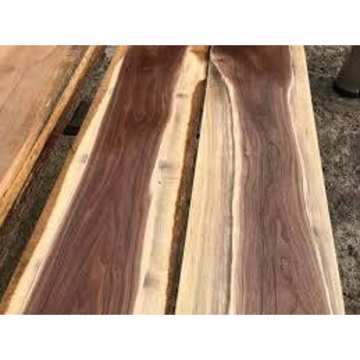 Tablas de nogal sappy para tablas de cortar / juegos de ajedrez - paquete de 18 tablas