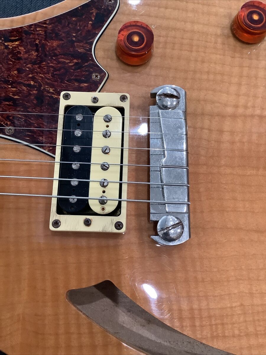 PRS SE Custom22, Skel-zoアンプセット eyJidWNrZXQiOiJwcnNpbWFnZXMiLC