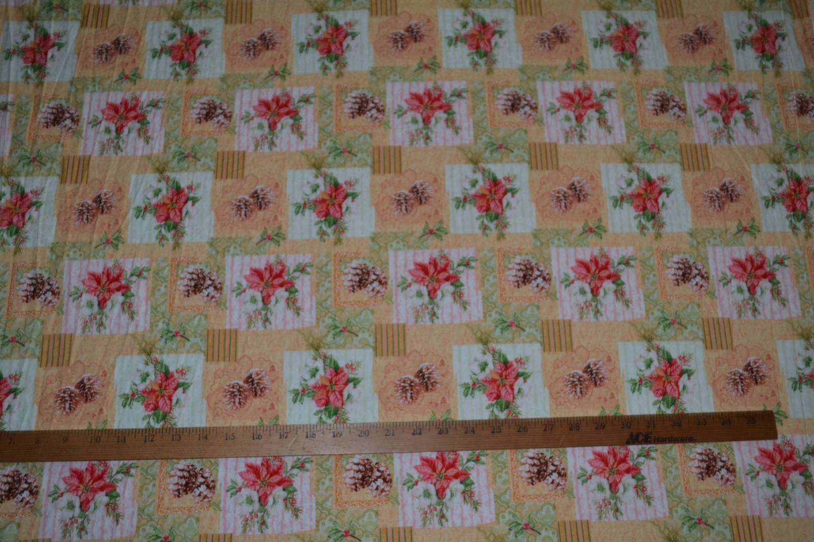 Picture 4 of 5