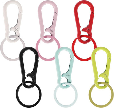 Metal Keychains Key Rings Clip Key Chains for Men Women Key Organizer for Car Ho