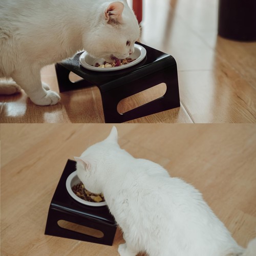 Tilted Raised Elevated Food or Water Bowl Stand for Cat or Small Dogs - Puppy... - Picture 5 of 7
