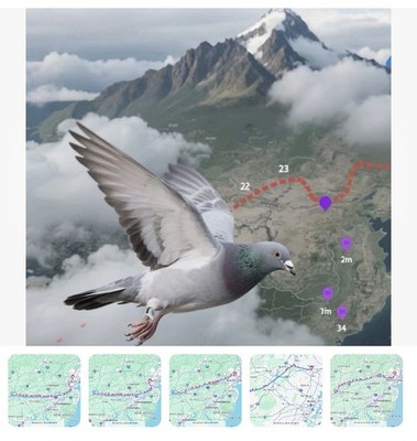 2x RACING PIGEONS GPS REAL TIME TRACKERS PARROTS BIRD  WATCHER  LIVE TRACKER