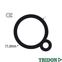 TRIDON Gasket For Mercedes 280 SEC C111 12/69-12/71 3.5L TTG32 - Bild 1 von 1