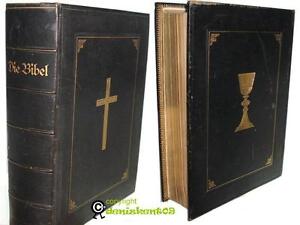 Bibel Apokryphen 1902 Heilige Schrift Altes Und Neues Testament Martin Luther Ebay