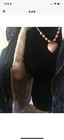 Bild 5 von 8