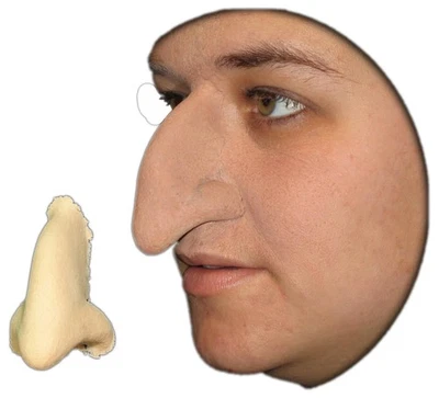 Witch Nose Wicked foam latex prosthetic theater appliance - Photo 1/4