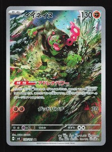 Pokemon Okidogi