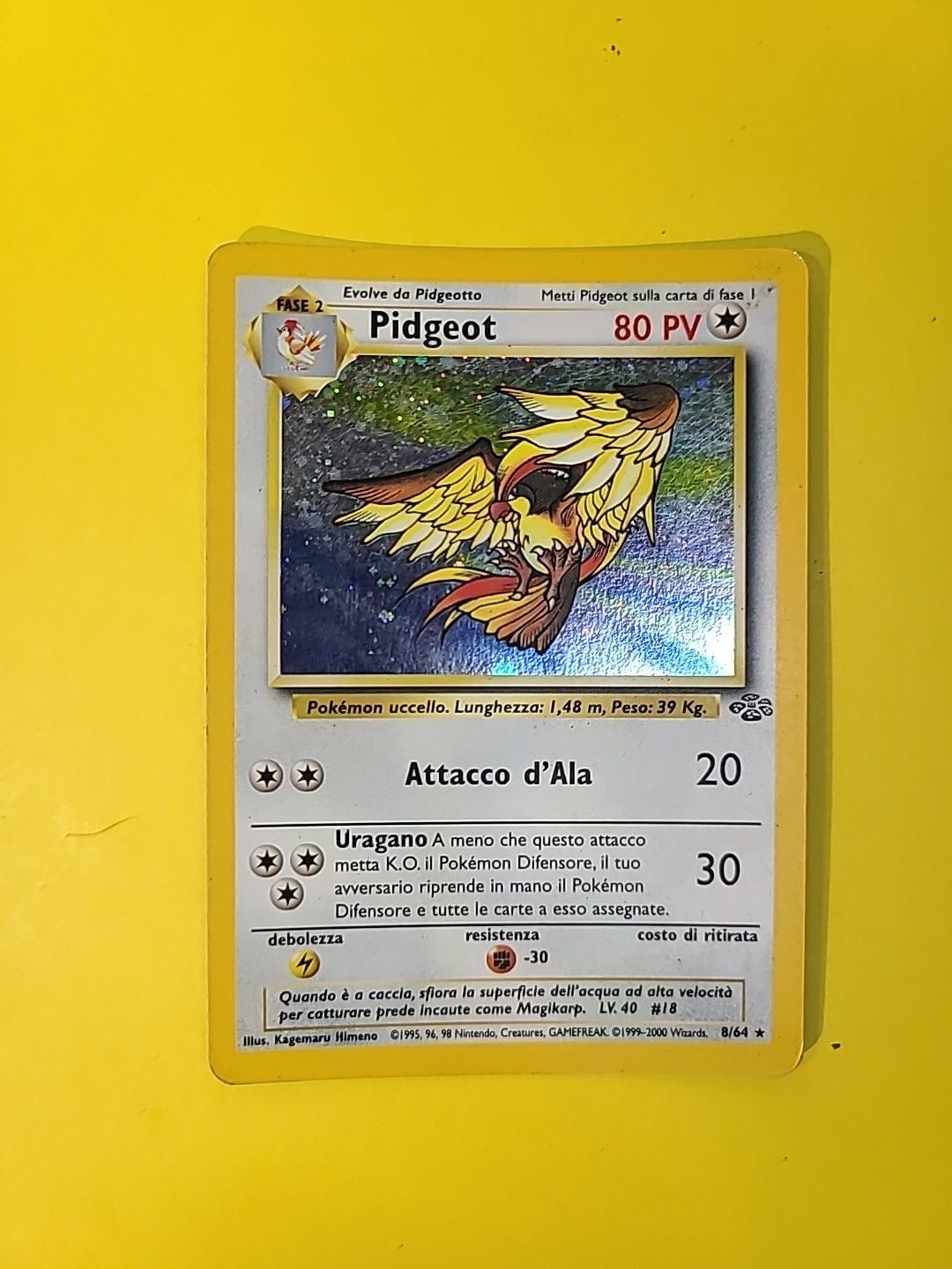 Pokemon Card - Pidgeot Jungle 8/64 Holo Rare Italian MP