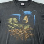 Foto 1 di 9