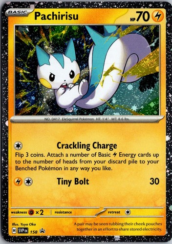 Pachirisu 158 Holo Promo Scarlet & Violet Promo Pokemon Near Mint