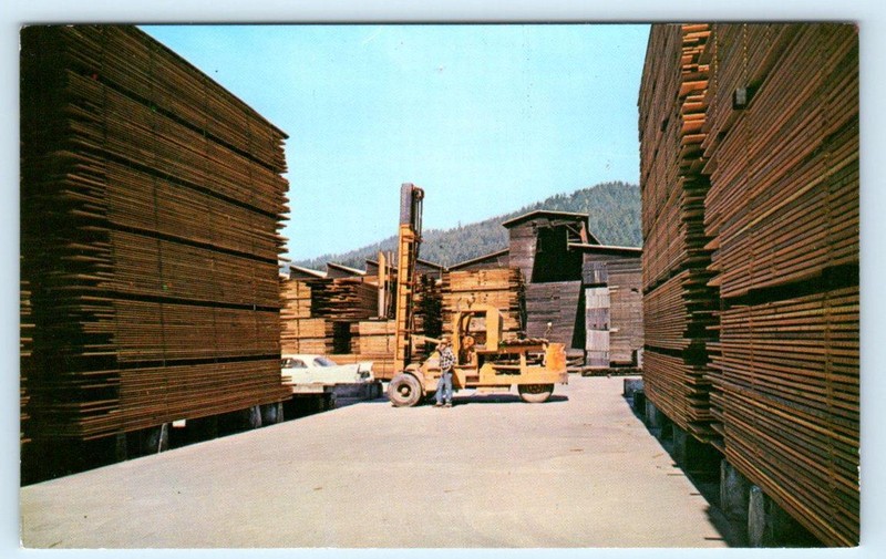 SCOTIA, California CA~ Fork Lift PACIFIC LUMBER COMPANY Humboldt County Postcard