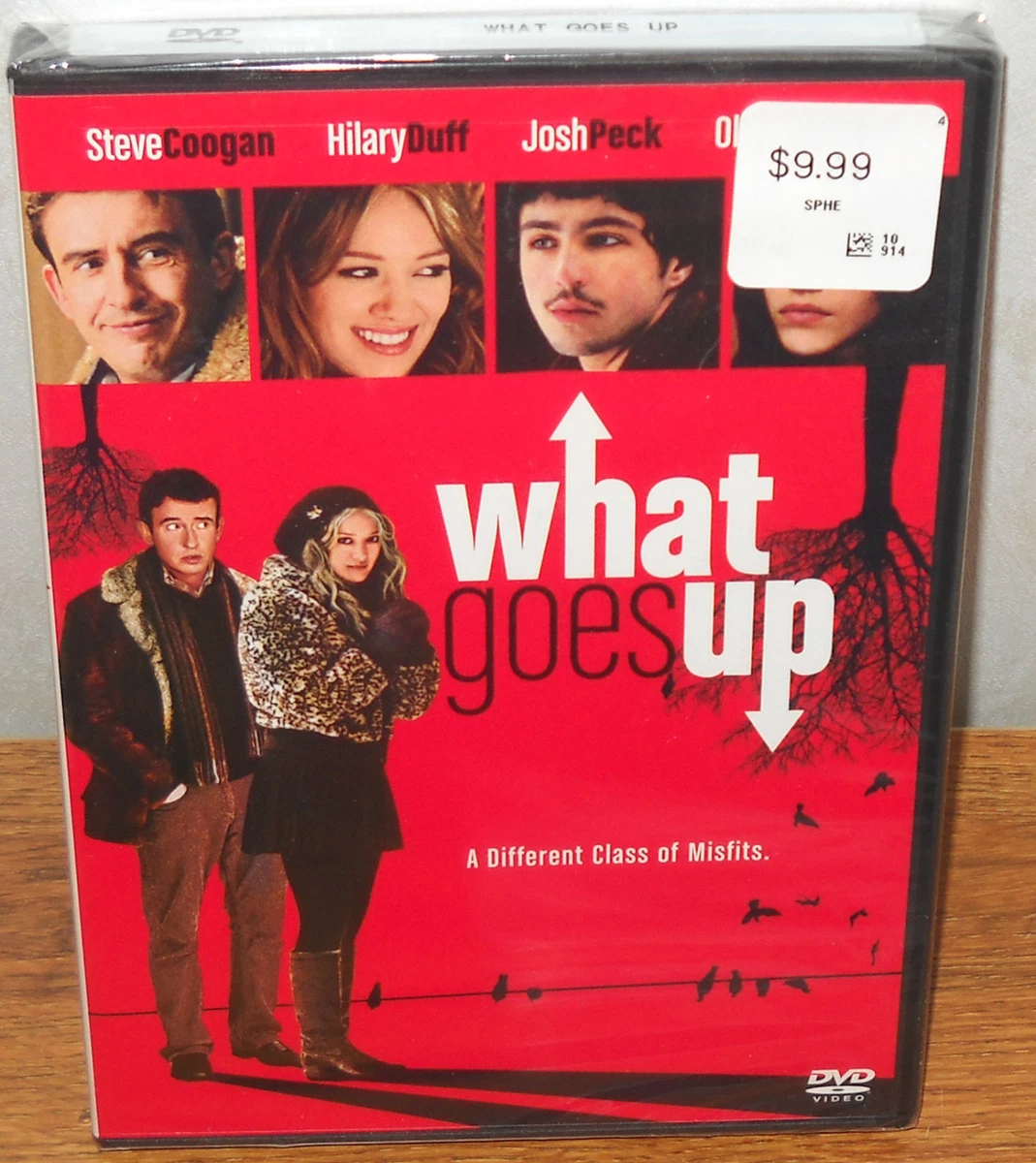 What Goes Up (DVD, 2009) Steve Cooga, Hilary Duff - Widescreen - BRAND NEW!  43396297722 | eBay