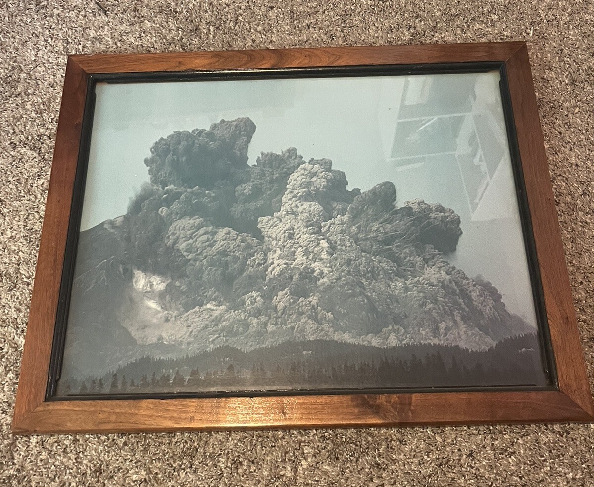 Picture 1 of 4