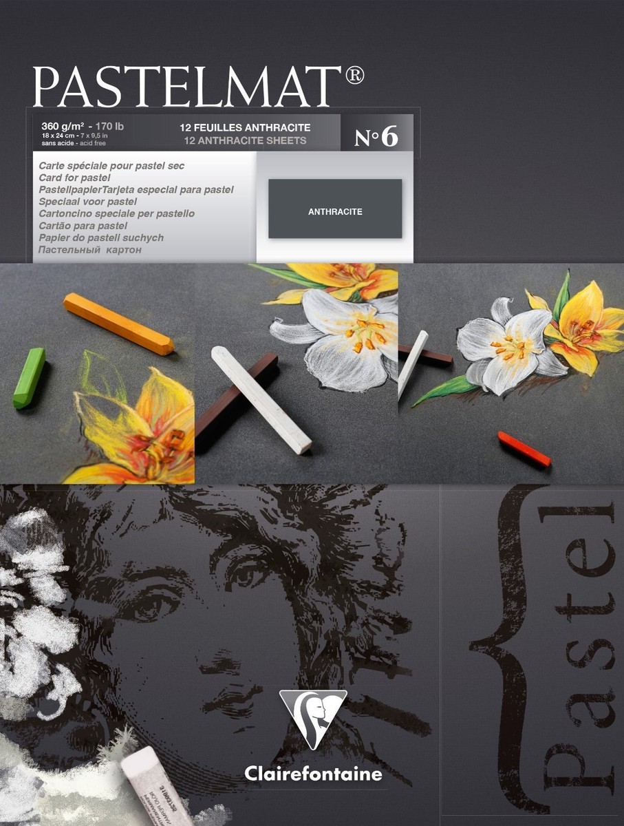 Clairefontaine 696165C Paquet Papier Pastelmat - 5 Feuilles Carte Spéciale pour Pastels Secs - A3 29,7x42 cm 360g - Bleu Foncé Clairefontaine 696165C Paquet Papier Pastelmat - 5 Feuilles Carte Spéciale pour Pastels Secs - A3 29,7x42 cm 360g - Bleu Foncé
