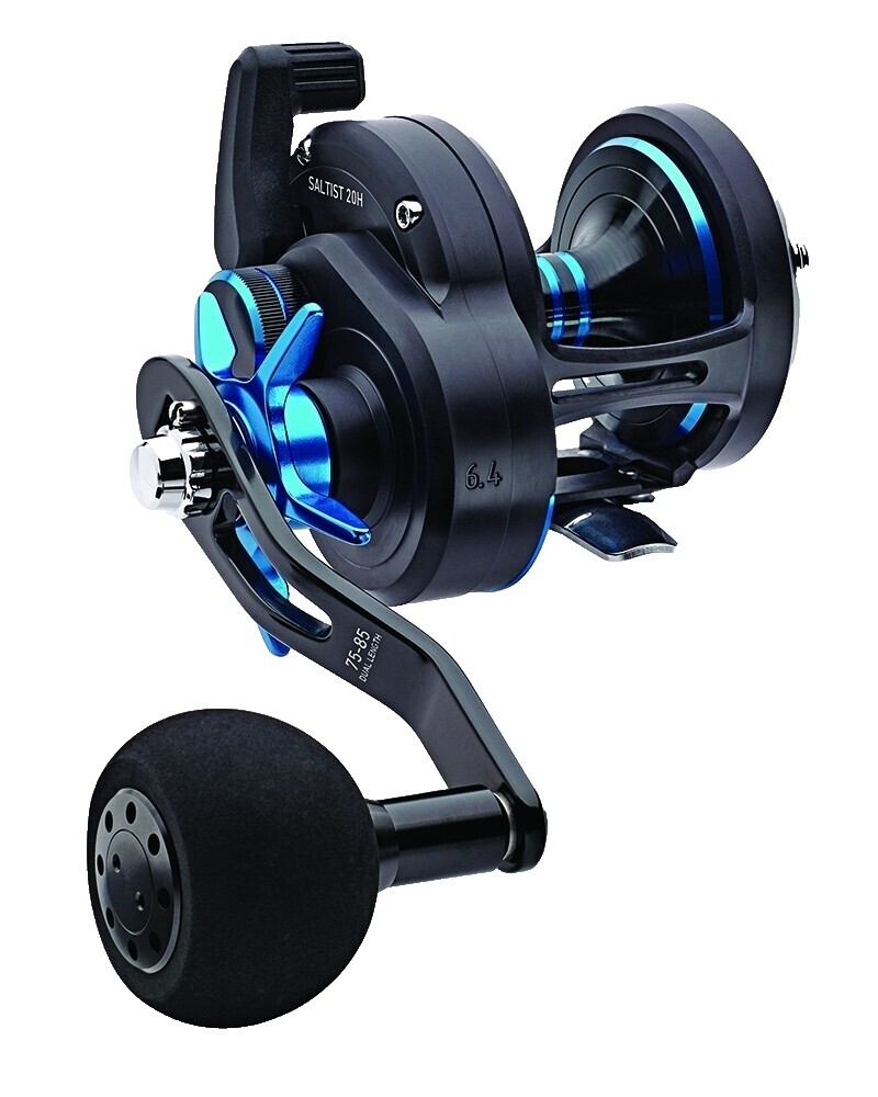 Daiwa Saltist 30 H | eBay UK