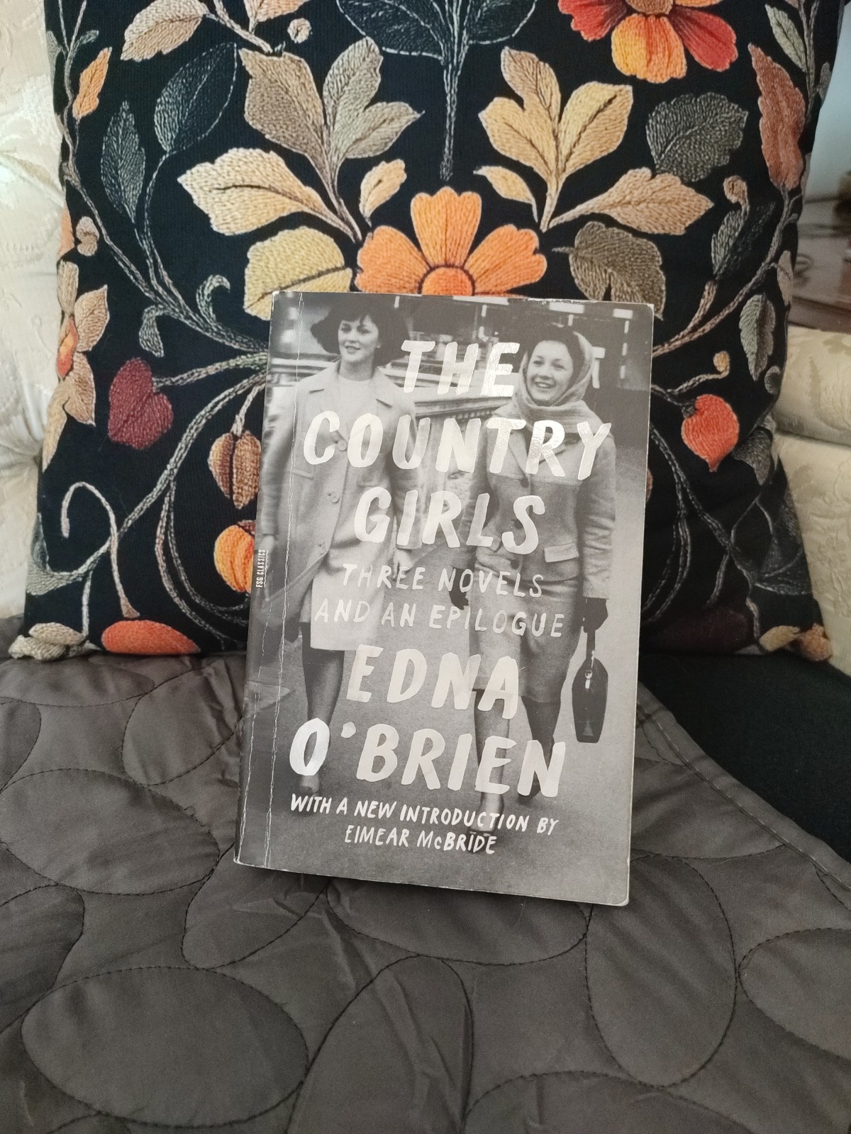The Country Girls by Edna O'Brien Paperback Irish History Vintage 1950s-1980s IE