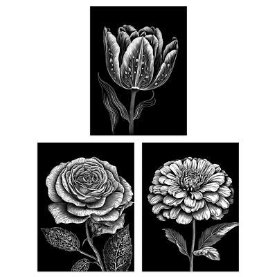 Elegante einzelne Tulpe Rose Zinnie Frühlingsblumen schwarz weiß A4 Poster 3er Pack
