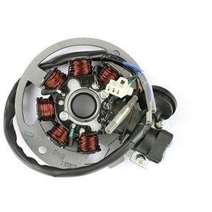 Lichtmaschine 5 Polig Und 2 Kabel Am Pickup China 2t 50ccm Roller 1pe40qmb Motor Ebay