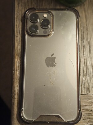 iPhone 13 Pro Max With  TikTok