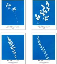 Berkin Arts Wall Unframed Prints Giclee Art Paper Set of 4 8x10 inch, Flower Art