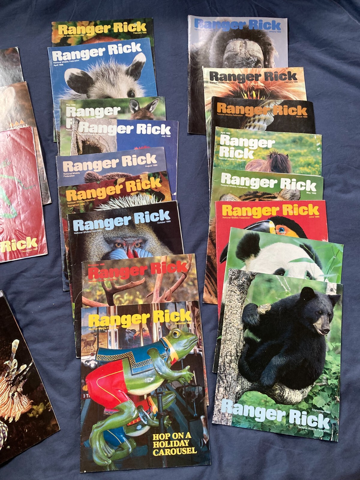 Ranger Rick Magazine Example Ranger Rick Magazine Lot Of 22 80's Era Vintage Nature Wildlife ...