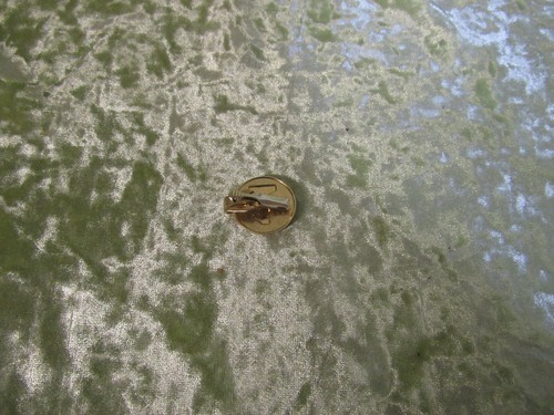 Young Boy's Gold Tie Clasp Round Shape with a #1 - Picture 2 of 3