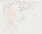 The Twelve Kingdoms Juuni Kokki Genga Douga Original Sketches Pierrot - Youko — photo 1